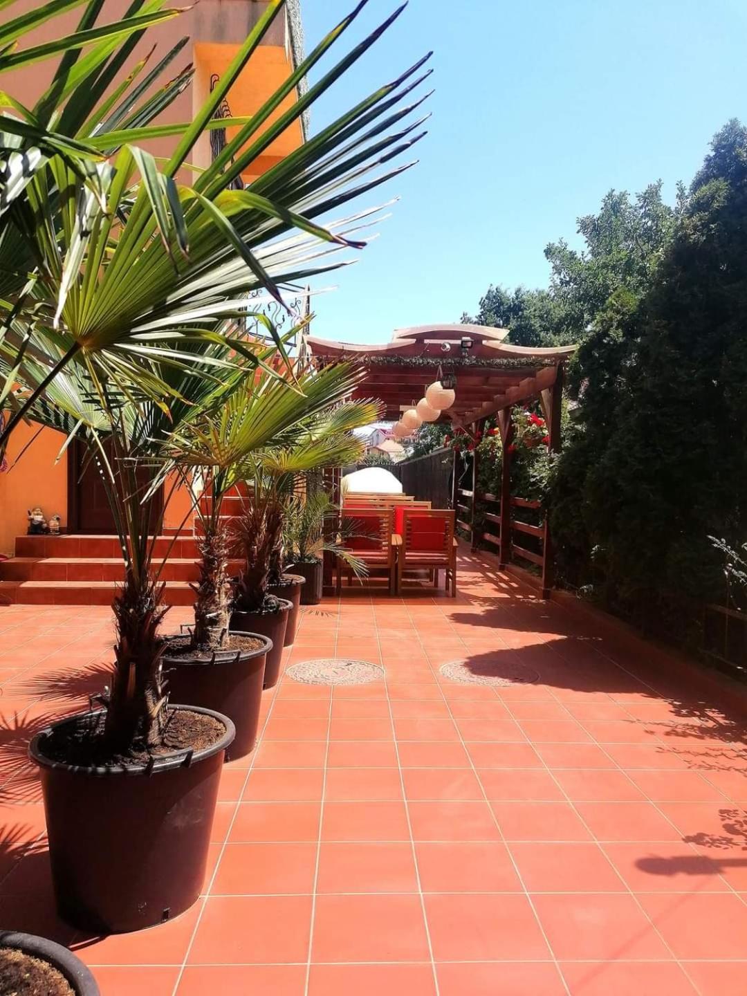 Vila Floarea Etiquette Costinești Dış mekan fotoğraf